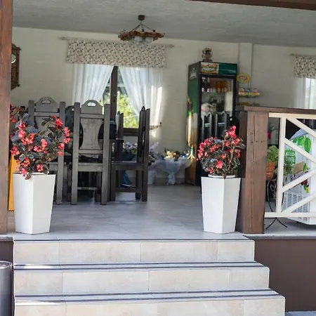 Hotel Marina Solotvino