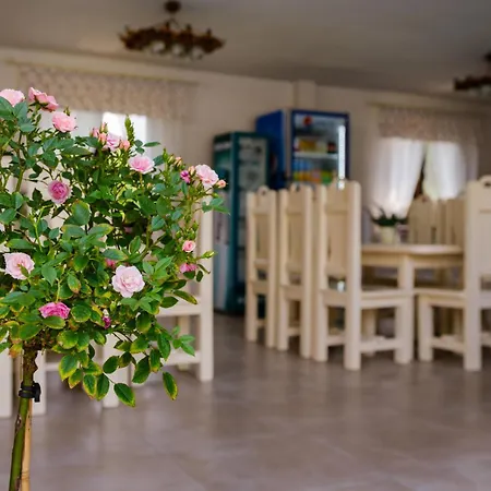 Marina Hotel Solotvino