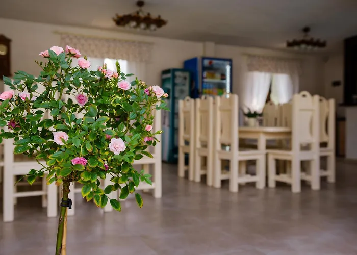 Marina 酒店 索洛特维诺